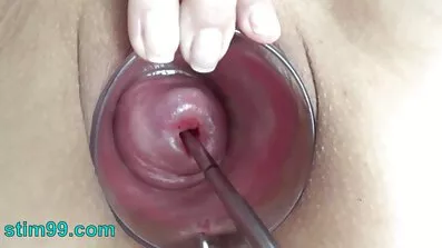 Mademoiselle ឆ្ងាញ់ fucked ការលំបាកនៅក្នុងសត្វលានេះ